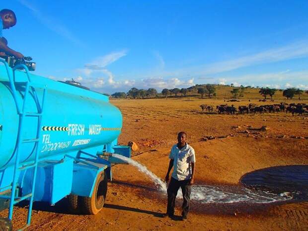 Every Day This Man Drives Hours In Drought To Provide Water To Thirsty Wild Animals