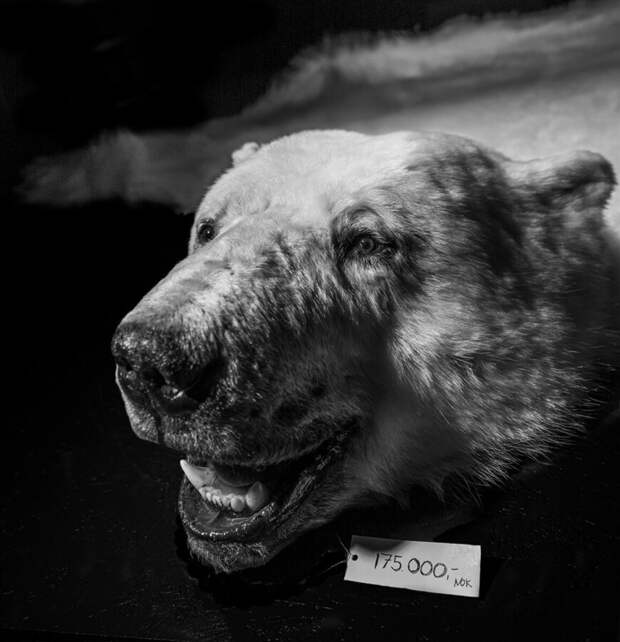 фото: Том Свенссон/PA2F ENVIRONMENTAL PHOTOGRAPHY AWARD 2021