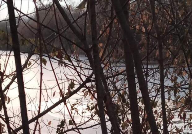 Школьница провалилась под лед на улице Бронная в Новосибирске