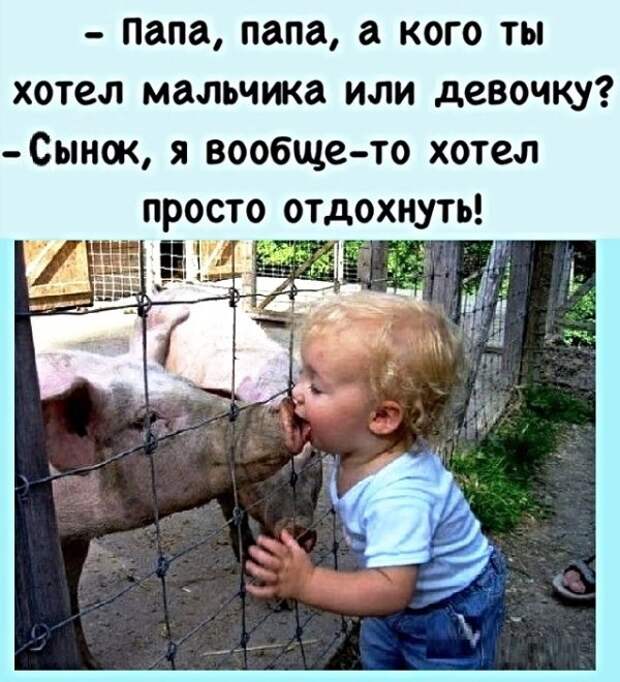 Картинки с надписями, истории и анекдоты