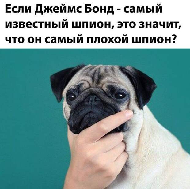 1588715206_foto-17.jpg