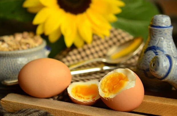 Яйца - польза или вред?