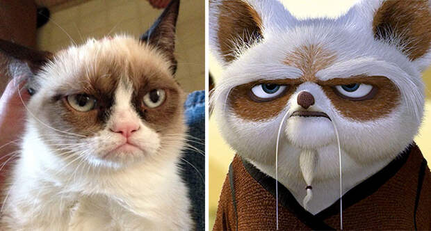 Master Shifu From Kung Fu Panda