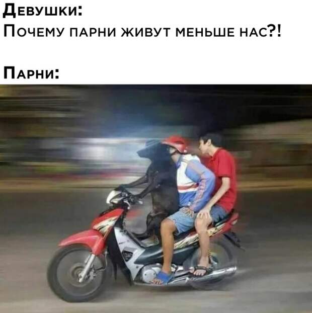 Смешные картинки 28 апреля 2021 года