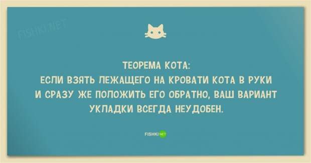 25 смешных анекдотов про кошек и котов 25 смешных анекдотов про кошек и котов
