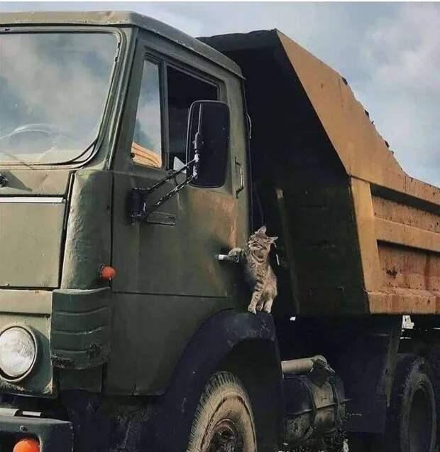 Подборка прикольных картинок