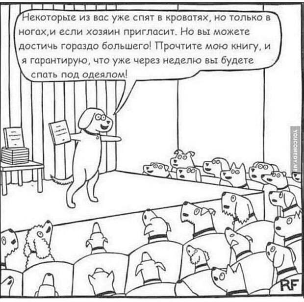 Нет описания фото.