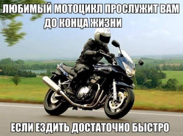 perly-kartinki-smeshnye-kartinki-fotoprikoly