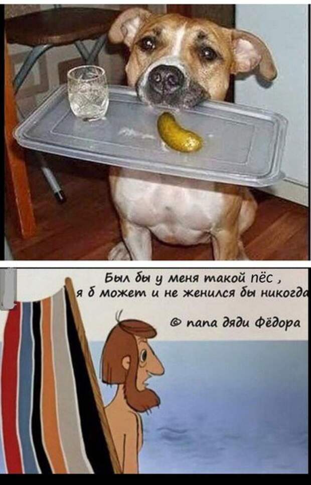 Прикольные фотомемы (28 шт)