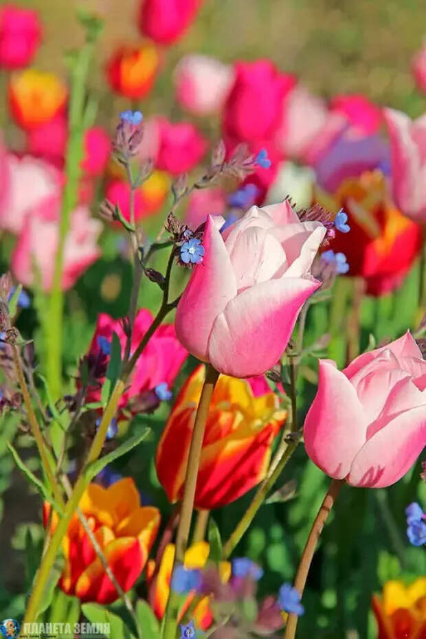 Доброе утро! И отличного праздничного настроения! )