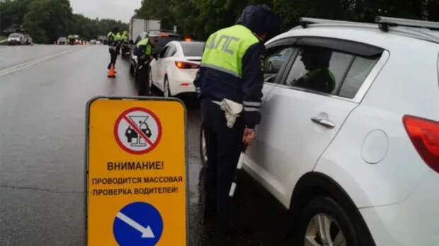 В ГИБДД раскрыли 5 причин, почему водители стали чаще выбирать белые автомобили