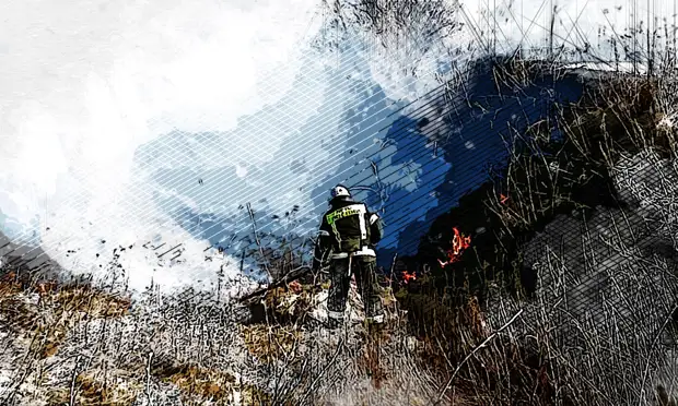 Орловцы снова вопреки закону и здравому смыслу начали жечь