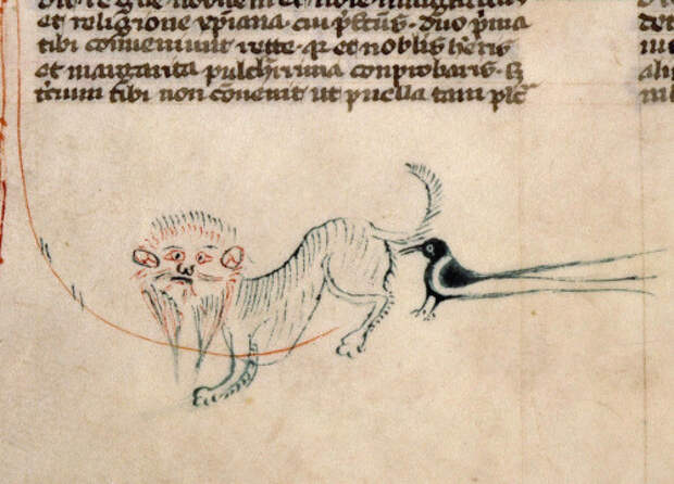 23. И, наконец, еще один кот, который стремится вырваться за рамки своего тела коты, средние века, страдающее средневековье, ужас
