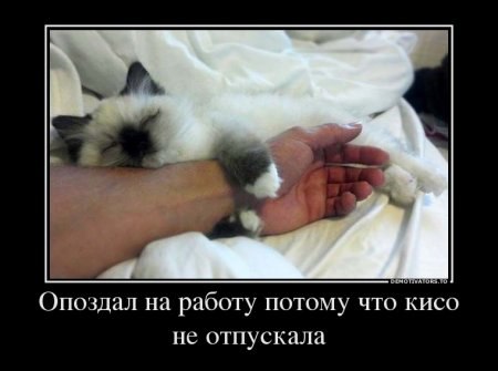 30 демотиваторов дня от 28-02-2014