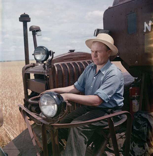 Сбор урожая пшеницы СССР, история, люди, трудовые будни