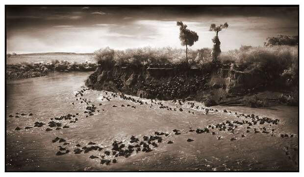 фотографии африки. Nick Brandt