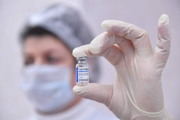 Немецкий депутат прибыл в Москву для вакцинации «Спутником V»