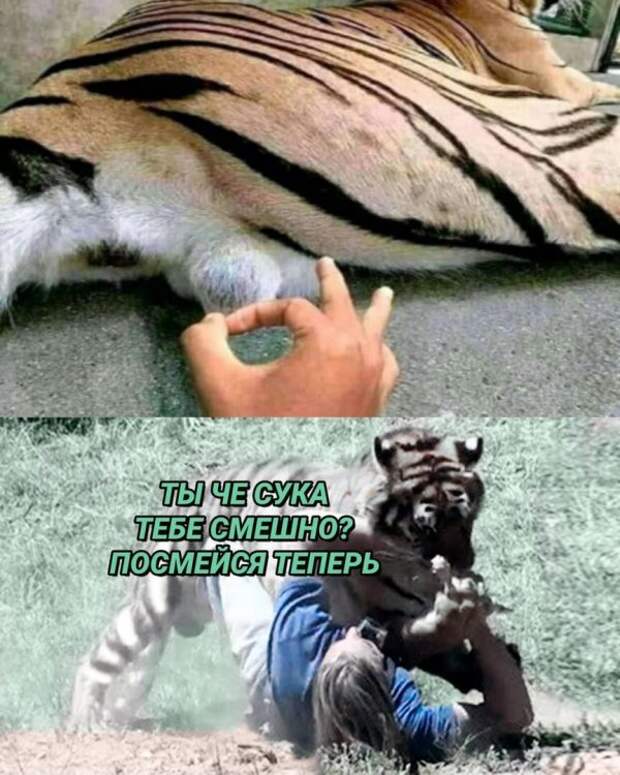 Нестандартный юмор :)
