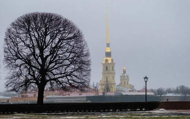 Дождливое тепло накроет Петербург 25 марта