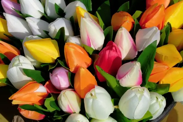 Продавец тюльпанов из Уссурийска обманул более 40 предпринимателей