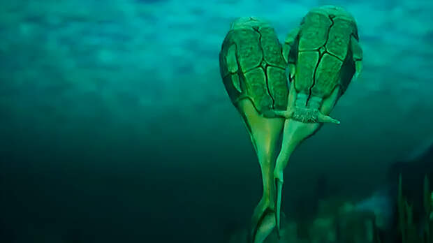 Секс был изобретен доисторическими рыбами в Шотландии задолго до появления людей