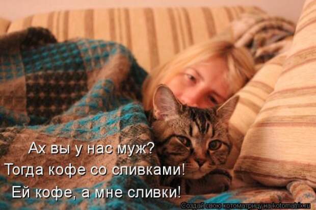 Новая котоматрица (37 шт)