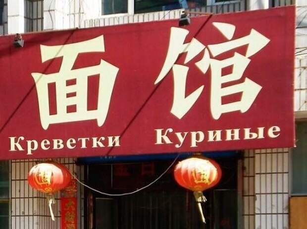 perly-kartinki-smeshnye-kartinki-fotoprikoly