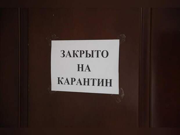 В соседнем с Забайкальем регионе ввели карантин из-за бешенства