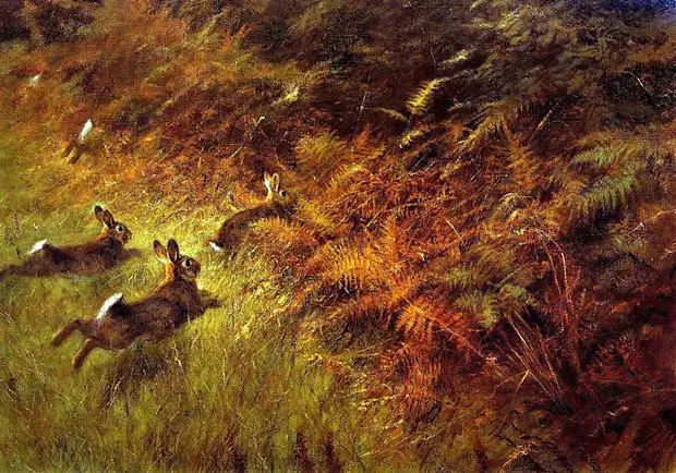 �������� ��� ���������.