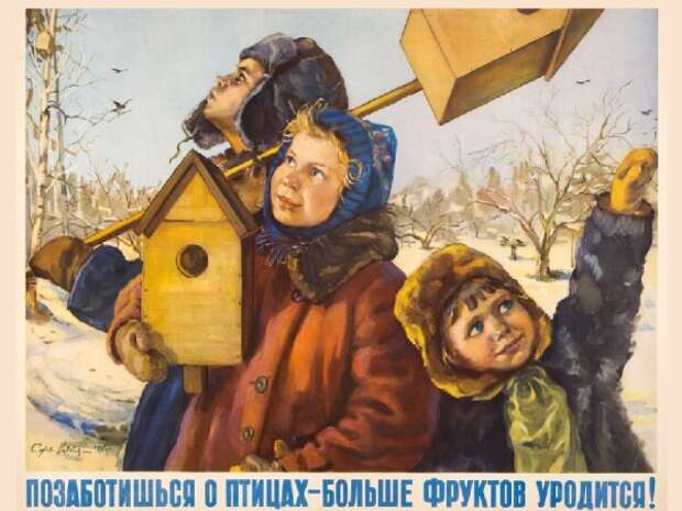 Друзья птиц: чем увлекались дети в России в начале прошлого века