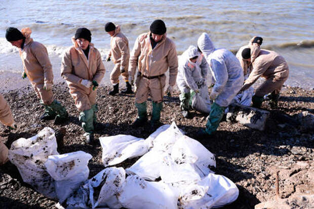 Откроются ли после мазута пляжи Анапы: глава Роспотребнадзора заявила, что содержание нефтепродуктов в песке всё еще высоко