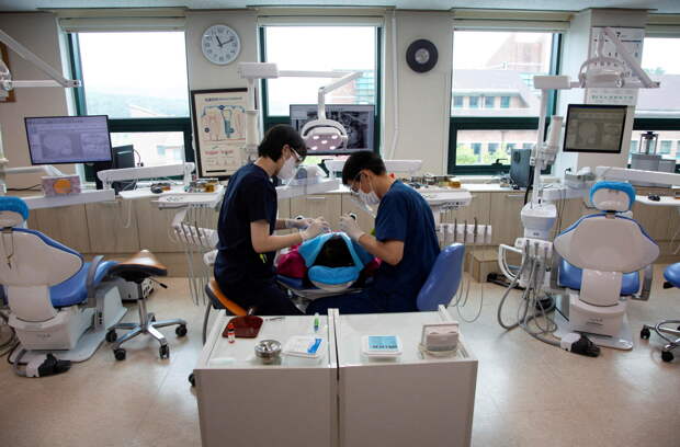 Россиян предупредили о связи состояния зубов с когнитивными функциями