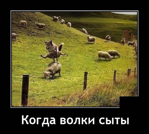 Демотиваторы 28 мая 2021