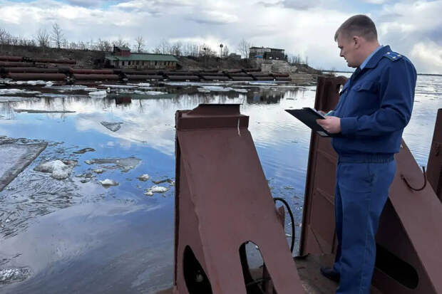 Находившийся на зимнем отстое теплоход "Павлин" затонул в Благовещенске