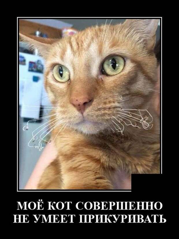 Демотиваторы 27 мая 2021