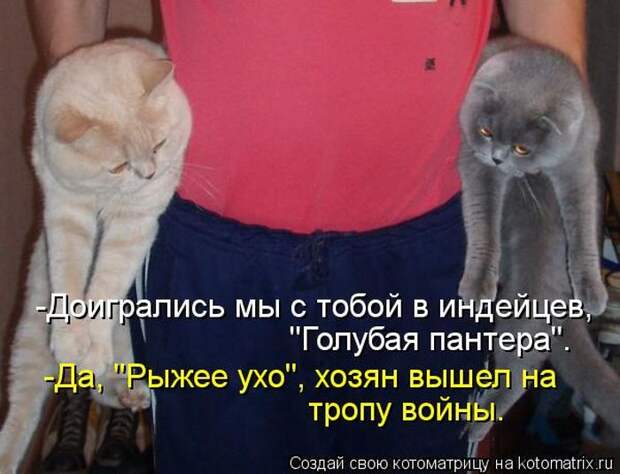 Лучшие котоматрицы недели Лучшие котоматрицы недели