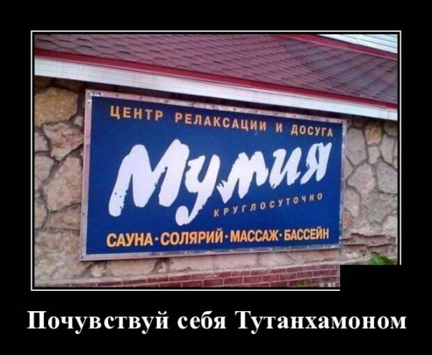 Демотиваторы (30 фото)