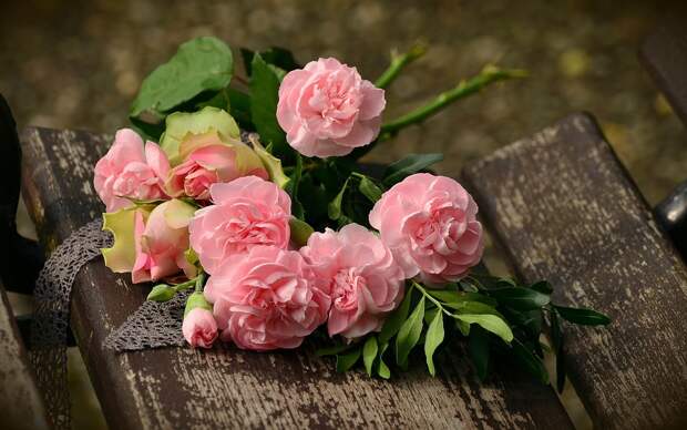 Цветок. Фото:pixabay.com