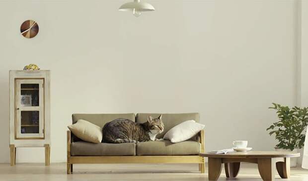 В Японии придумали миниатюрную мебель для кошек