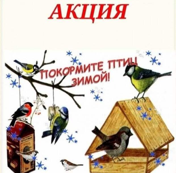 Акция ´Покормите птиц зимой´ проходит в детском саду.