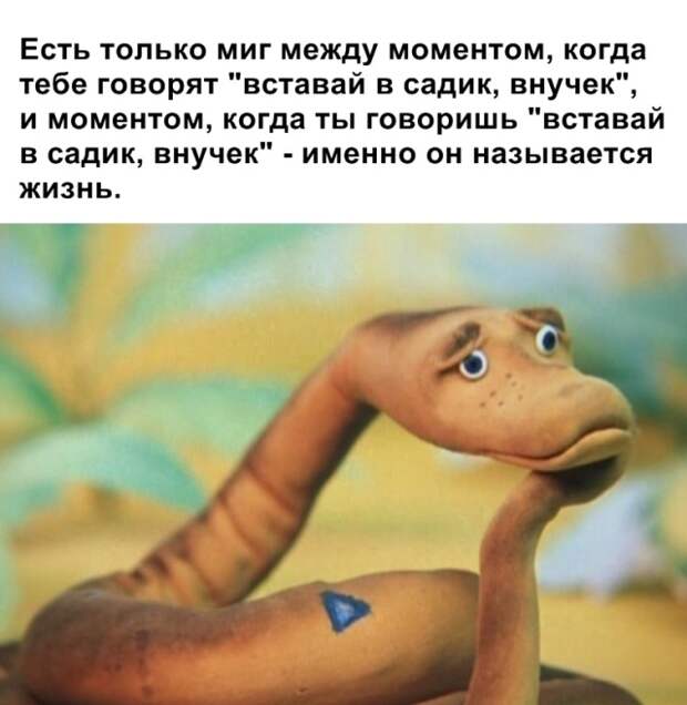 Подборка картинок (20 фото)
