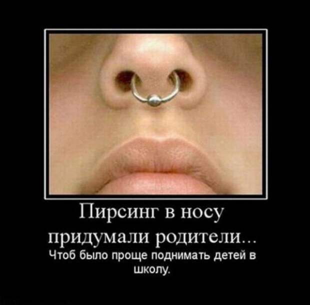 Демотиваторы на любой вкус (13 шт)