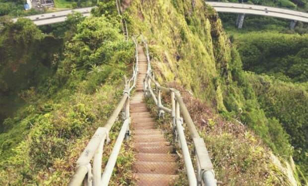 Человек на необитаемом острове оставил одно фото и исчез