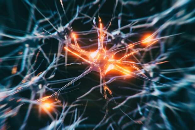 Четыре простые привычки омолаживают мозг на восемь лет