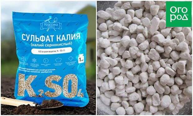 лучшие весенние удобрения