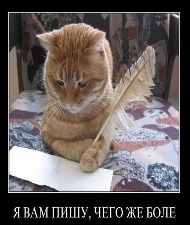 Написать пародию. Кот пишет. Кот пишет пером. Кот поэт. Пишущий котейка.