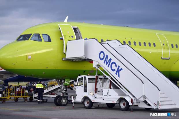 В омском аэропорту задержали рейс в Москву из-за попавшей в самолет птицы