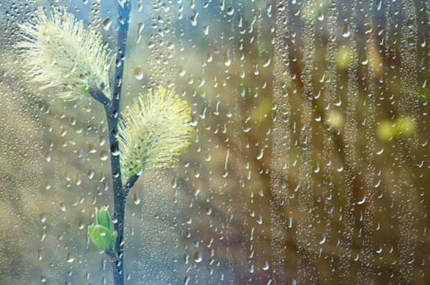 Южный циклон зальет Беларусь. Синоптики назвали регионы, где разбушуется стихия.