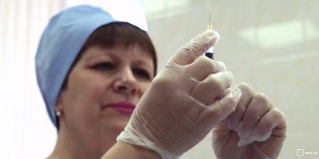 Мобильные пункты вакцинации животных откроются в Куркине 31 июля