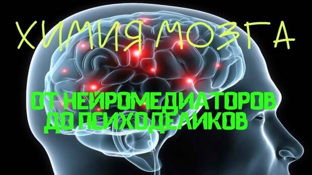 Химия мозга: от нейромедиаторов до психоделиков. Дубынин Вячеслав